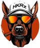 HKRz Sport Glasses
